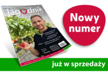 Jagodnik 5/2025 – już w sprzedaży!