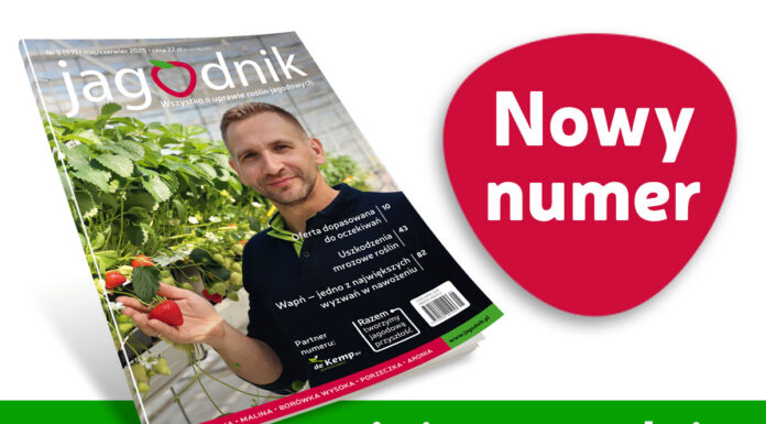 Jagodnik 5/2025 – już w sprzedaży!