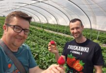 Rajska Truskawka – jak Grzegorz Kasprzak znalazł swoją drogę do sukcesu w uprawie truskawek