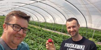 Rajska Truskawka – jak Grzegorz Kasprzak znalazł swoją drogę do sukcesu w uprawie truskawek