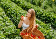 Pochodzenie ma znaczenie – dlaczego warto wybierać polskie truskawki? polskie truskawki