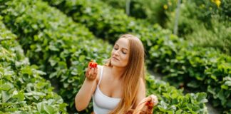 Pochodzenie ma znaczenie – dlaczego warto wybierać polskie truskawki? polskie truskawki