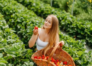 Pochodzenie ma znaczenie – dlaczego warto wybierać polskie truskawki? polskie truskawki