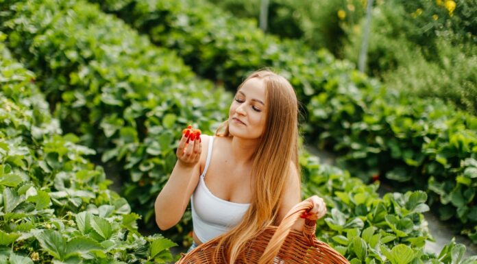 Pochodzenie ma znaczenie – dlaczego warto wybierać polskie truskawki? polskie truskawki