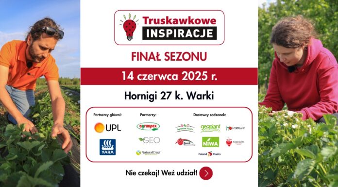 Truskawkowe Inspiracje 2025 – Finał Sezonu!