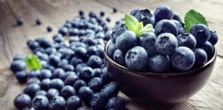 Nowe technologie w uprawie borówki amerykańskiej – jak wpływają na jakość owoców? borówka amerykańska