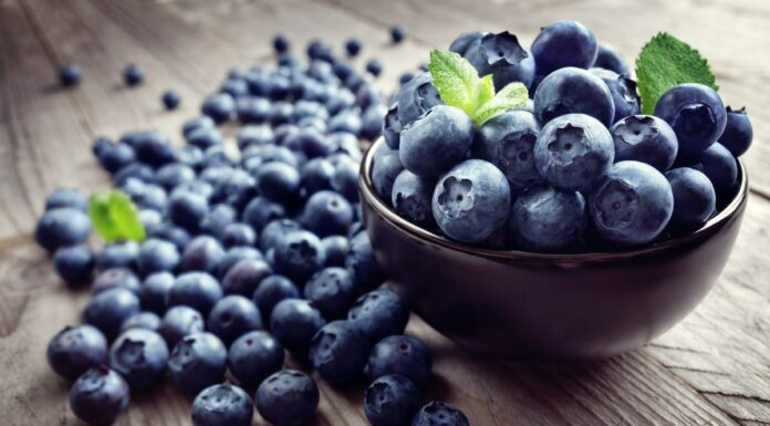 Nowe technologie w uprawie borówki amerykańskiej – jak wpływają na jakość owoców? borówka amerykańska