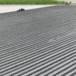 Kolejne 2 ha zagonów pod truskawki. 7 kilometrów w jeden dzień