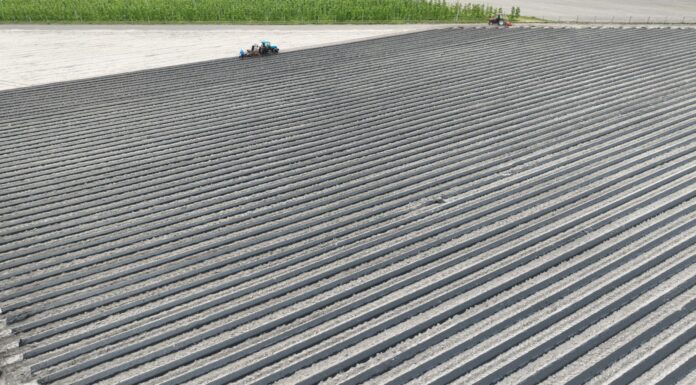 Kolejne 2 ha zagonów pod truskawki. 7 kilometrów w jeden dzień