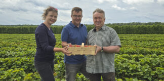 Konferencja Truskawkowa TSW 2026. Wyznaczamy trendy w uprawie