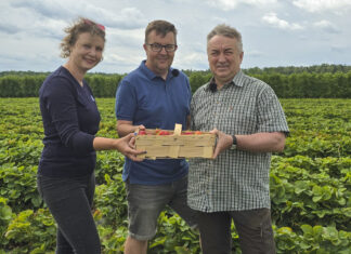 Konferencja Truskawkowa TSW 2026. Wyznaczamy trendy w uprawie