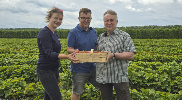 Konferencja Truskawkowa TSW 2026. Wyznaczamy trendy w uprawie