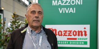 ’Aprica’, 'Sibilla’, 'Giusy’, 'Klodia’ – to warto wiedzieć. Praktyczne zalecenia dla plantatorów Aprica, Sibilla, Giusy, Klodia - odmiany Mazzoni