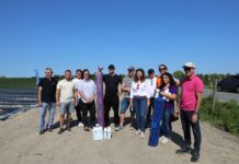 Truskawkowe Inspiracje. Sprawdziliśmy, kto najlepiej sadzi truskawki Truskawkowe Inspiracje