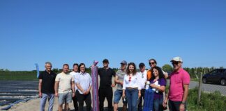 Truskawkowe Inspiracje. Sprawdziliśmy, kto najlepiej sadzi truskawki Truskawkowe Inspiracje