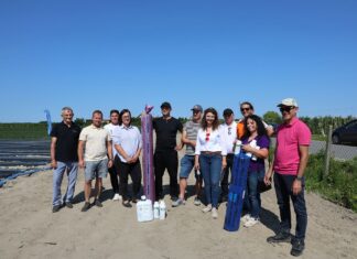 Truskawkowe Inspiracje. Sprawdziliśmy, kto najlepiej sadzi truskawki Truskawkowe Inspiracje