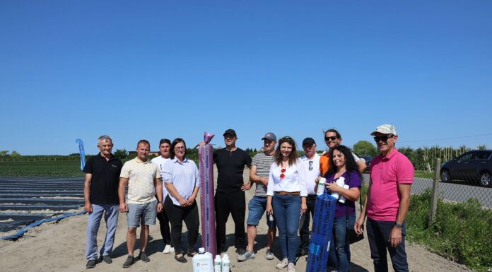 Truskawkowe Inspiracje. Sprawdziliśmy, kto najlepiej sadzi truskawki Truskawkowe Inspiracje