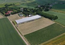 Nabory ARiMR w 2026 roku – znamy programy i terminy ARiMR, dodacje, plantacja, porzeczki