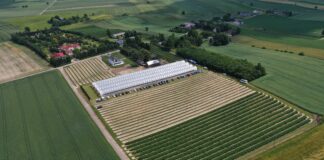 Nabory ARiMR w 2026 roku – znamy programy i terminy ARiMR, dodacje, plantacja, porzeczki