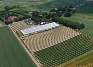 Nabory ARiMR w 2026 roku – znamy programy i terminy ARiMR, dodacje, plantacja, porzeczki