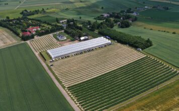 Nabory ARiMR w 2026 roku – znamy programy i terminy ARiMR, dodacje, plantacja, porzeczki