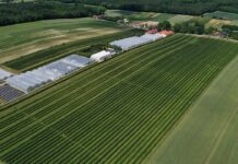 Nowe metodyki Integrowanej Produkcji. Wśród nich jeden gatunek jagodowy metodyki integrowanej produkcji