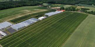 Nowe metodyki Integrowanej Produkcji. Wśród nich jeden gatunek jagodowy metodyki integrowanej produkcji