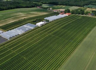 Nowe metodyki Integrowanej Produkcji. Wśród nich jeden gatunek jagodowy metodyki integrowanej produkcji