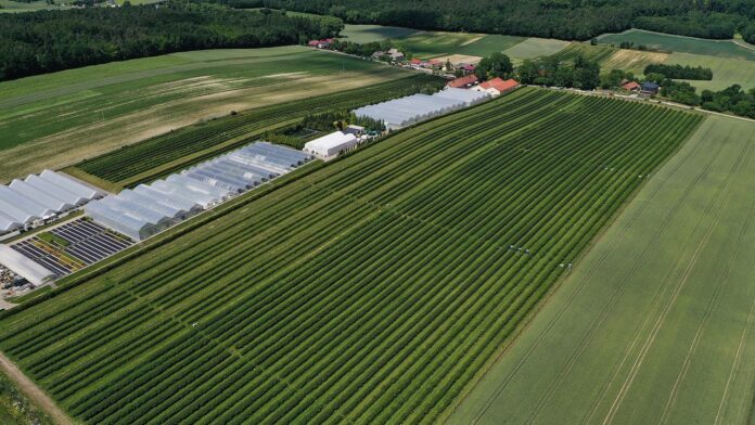 default metodyki integrowanej produkcji