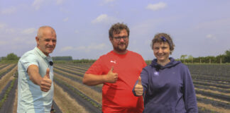 Nowoczesna plantacja truskawek w Hornigach. Zagony wreszcie proste!