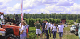 Truskawkowe Inspiracje 2025. Cały czas możemy rozwijać uprawy truskawek