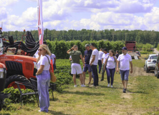 Truskawkowe Inspiracje 2025. Cały czas możemy rozwijać uprawy truskawek