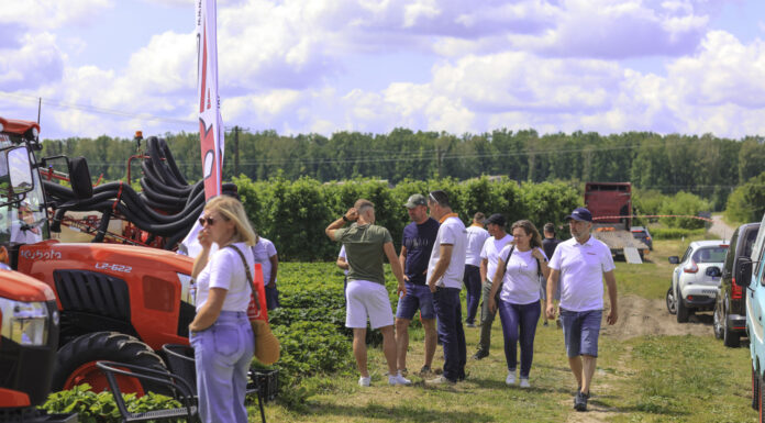 Truskawkowe Inspiracje 2025. Cały czas możemy rozwijać uprawy truskawek