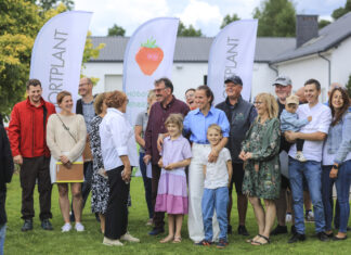 Polskie odmiany truskawek – 4+1 od Hortplantu