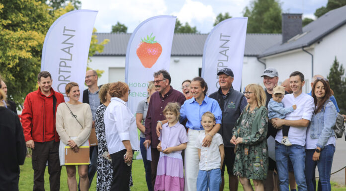 Polskie odmiany truskawek – 4+1 od Hortplantu