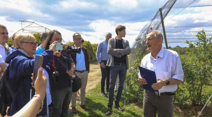 Spotkanie plantatorów borówki w Skierniewicach – nowe odmiany, innowacje i technologie przyszłości