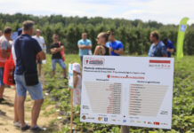 Finał sezonu Truskawkowych Inspiracji – zapraszamy do Hornig już 14 czerwca 2025!