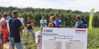 Finał sezonu Truskawkowych Inspiracji – zapraszamy do Hornig już 14 czerwca 2025!