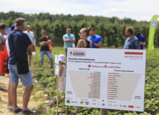 Finał sezonu Truskawkowych Inspiracji – zapraszamy do Hornig już 14 czerwca 2025!