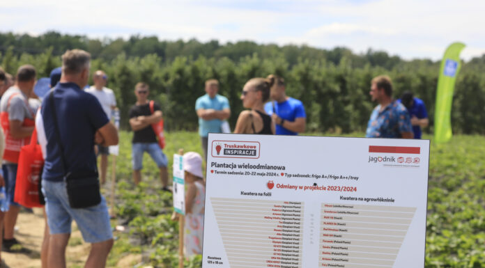 Finał sezonu Truskawkowych Inspiracji – zapraszamy do Hornig już 14 czerwca 2025!