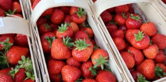 Sprawdzamy ceny truskawek 17 czerwca. W skupach już 9 zł/kg ceny truskawek