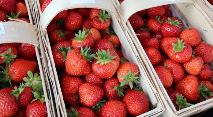 Sprawdzamy ceny truskawek 17 czerwca. W skupach już 9 zł/kg ceny truskawek