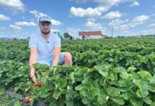 Federica, Mailing Vitality i przyszłość rynku truskawki – relacja z finału Truskawkowych Inspiracji 2024