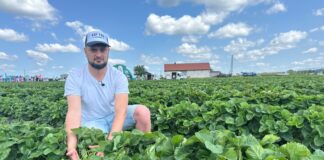 Federica, Mailing Vitality i przyszłość rynku truskawki – relacja z finału Truskawkowych Inspiracji 2024