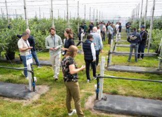 Fall Creek® i SEKOYA® w Holandii: Innowacyjna borówka dla przyszłych pokoleń