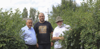 Borówka w Matcze. Biostymulacja stała się standardem
