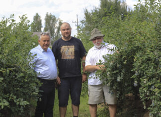 Borówka w Matcze. Biostymulacja stała się standardem
