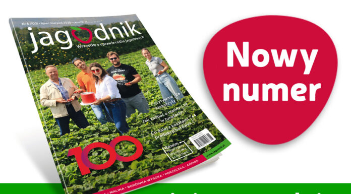 Jagodnik 6/2025 już w sprzedaży!