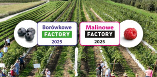 Jagodowe wydarzenia września – Borówkowe i Malinowe Factory w Karczmiskach!