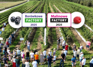 Jagodowe wydarzenia września – Borówkowe i Malinowe Factory w Karczmiskach!